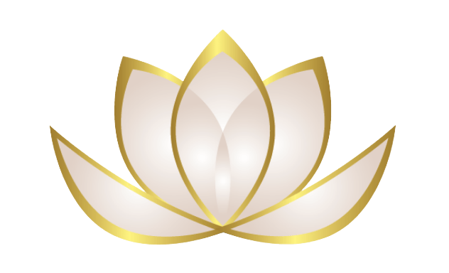 V7 Zen Web Media